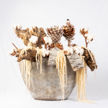 Rustic Composition with Cotton and Pinecones