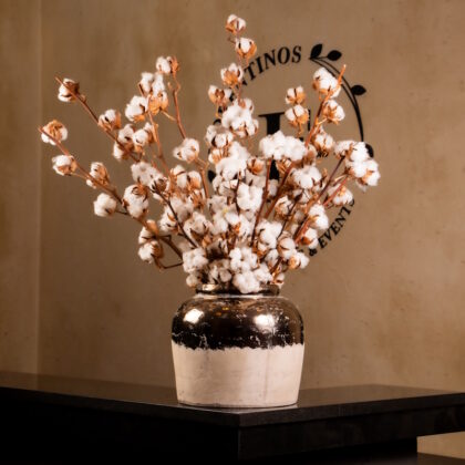 Cotton Stems in Ceramic Vase