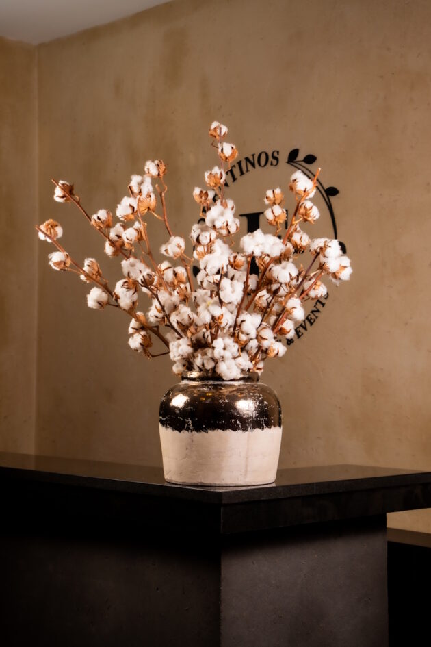 Cotton Stems in Ceramic Vase