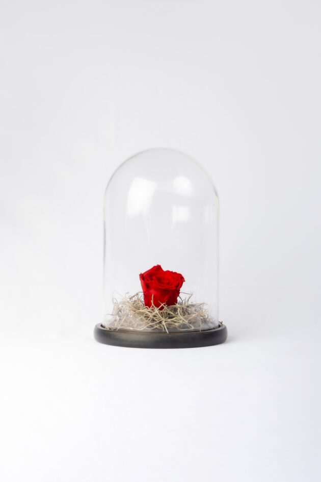 Forever Rose in Glass Dome